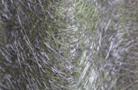 Bromsgrove fibreglass roof work